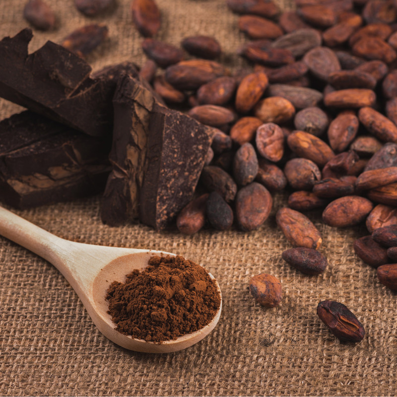 Fève de Cacao bio ingrédient