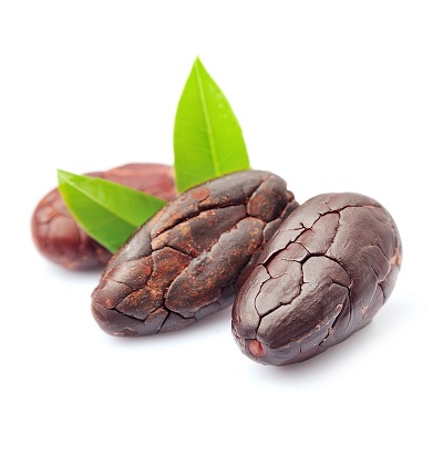 fèves de cacao cru